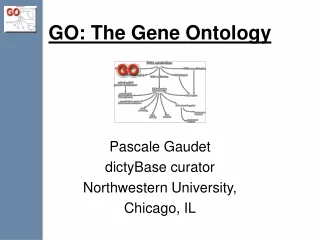 GO: The Gene Ontology