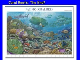 Coral Reefs: The End?