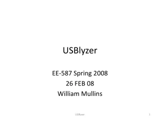 USBlyzer