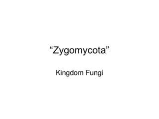 “Zygomycota”