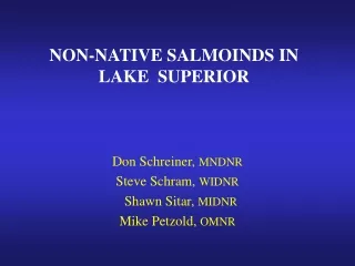 NON-NATIVE SALMOINDS IN  LAKE  SUPERIOR