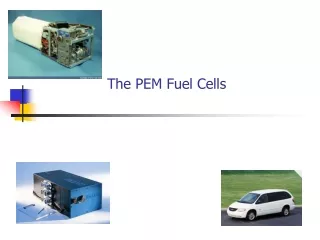 The PEM Fuel Cells