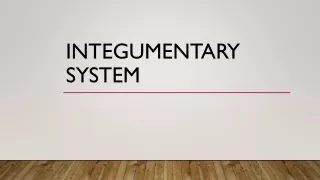 Integumentary System