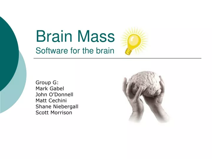 brain mass software for the brain