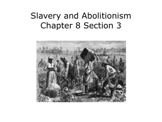 Slavery and Abolitionism Chapter 8 Section 3