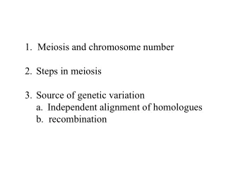 1.  Meiosis and chromosome number Steps in meiosis Source of genetic variation
