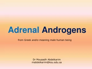 Adrenal  Androgens