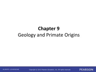 Chapter 9 Geology and Primate Origins