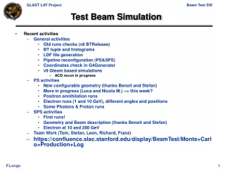 Test Beam Simulation
