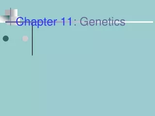 Chapter 11 : Genetics