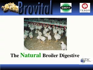 the natural broiler digestive