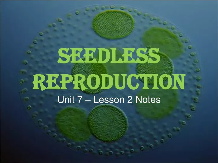 seedless reproduction