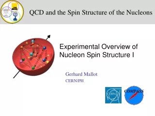 QCD and the Spin Structure of the Nucleons
