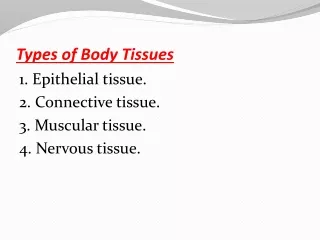 Types of Body Tissues