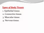 Types of Body Tissues