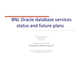 BNL Oracle database services status and future plans