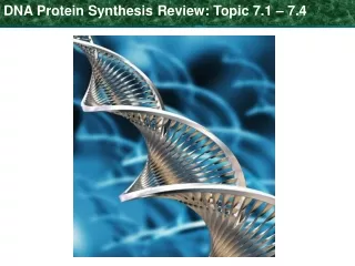 DNA Protein Synthesis Review: Topic 7.1 – 7.4