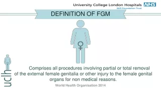 DEFINITION OF FGM