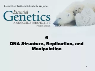 6 DNA Structure, Replication, and Manipulation