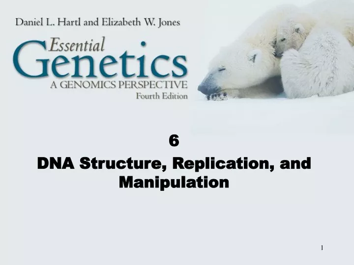 6 dna structure replication and manipulation