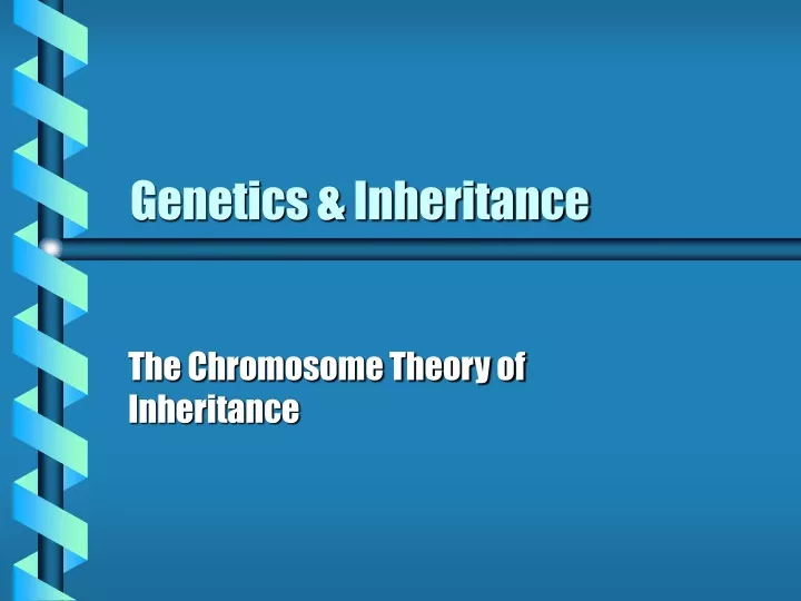 genetics inheritance
