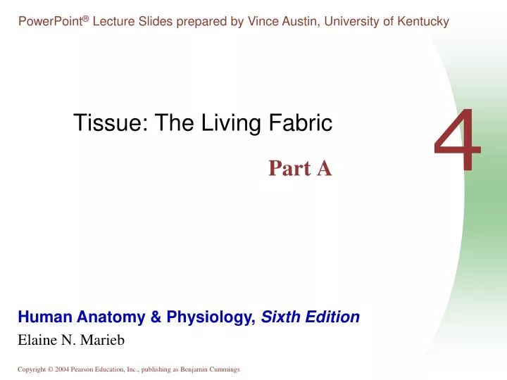 tissue the living fabric part a