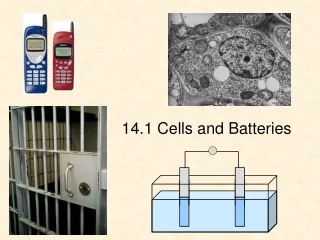 14.1 Cells and Batteries