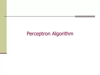 Perceptron Algorithm