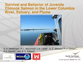 Survival and Behavior of Juvenile Chinook Salmon in the Lower Columbia River, Estuary, and Plume