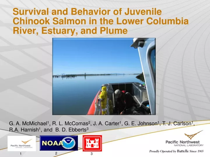 survival and behavior of juvenile chinook salmon in the lower columbia river estuary and plume