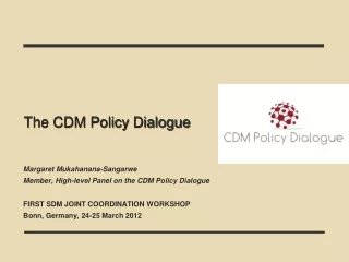 The CDM Policy Dialogue