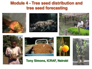 Module 4 - Tree seed distribution and  tree seed forecasting