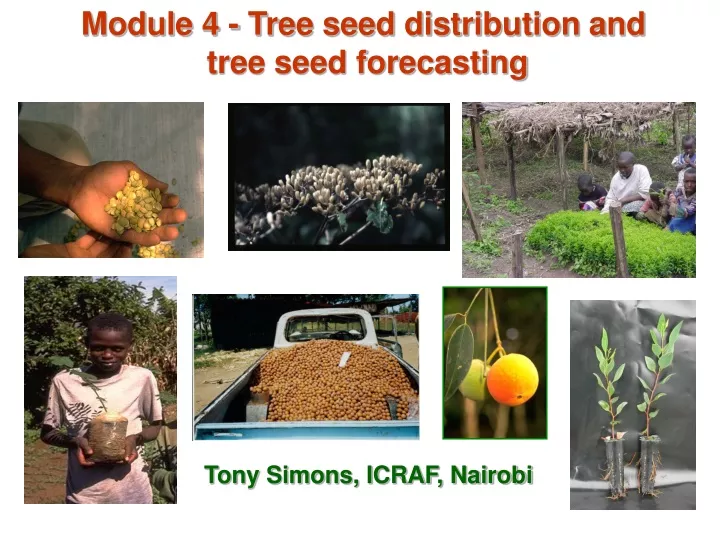 module 4 tree seed distribution and tree seed