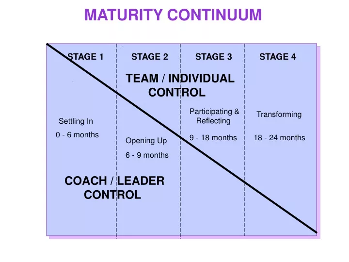 maturity continuum
