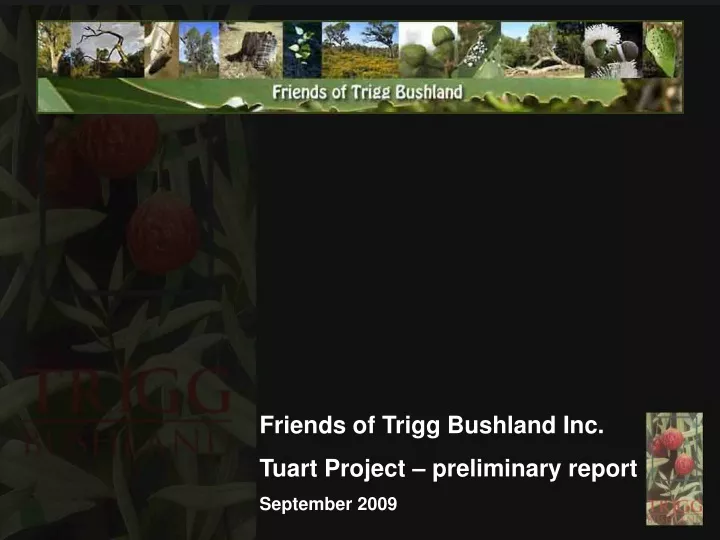 friends of trigg bushland inc tuart project