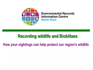 Recording wildlife and  Bioblitzes