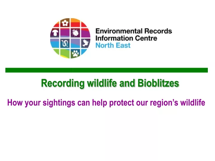 recording wildlife and bioblitzes
