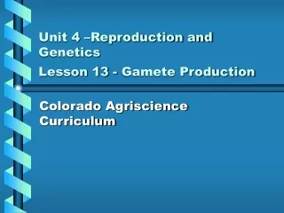 Unit 4 –Reproduction and Genetics  Lesson 13 - Gamete Production