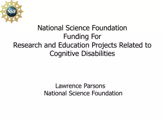 Lawrence Parsons National Science Foundation