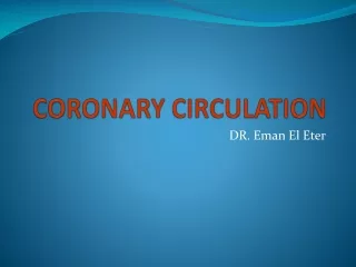 CORONARY CIRCULATION