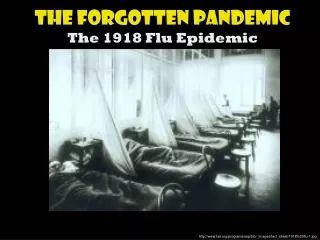 The Forgotten Pandemic The 1918 Flu Epidemic