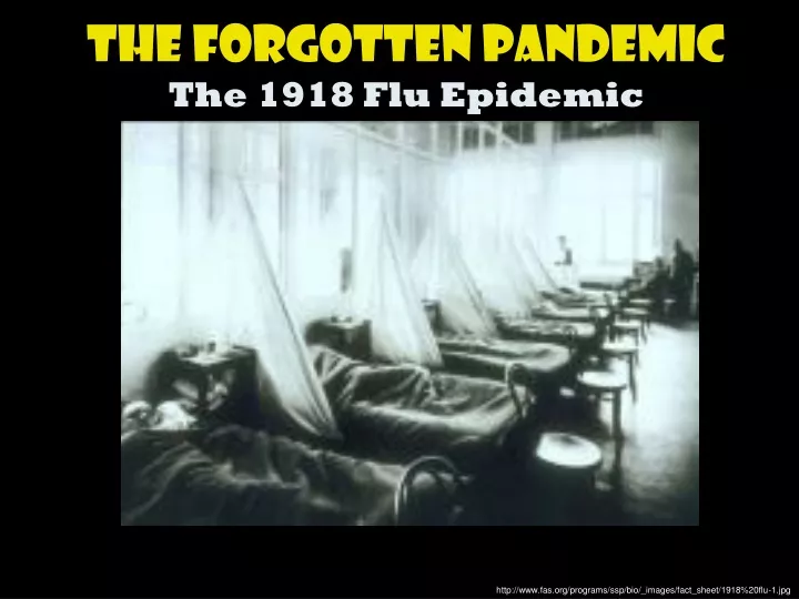 the forgotten pandemic the 1918 flu epidemic