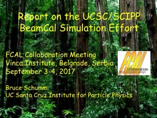 Report on the UCSC/SCIPP BeamCal Simulation Effort FCAL Collaboration Meeting