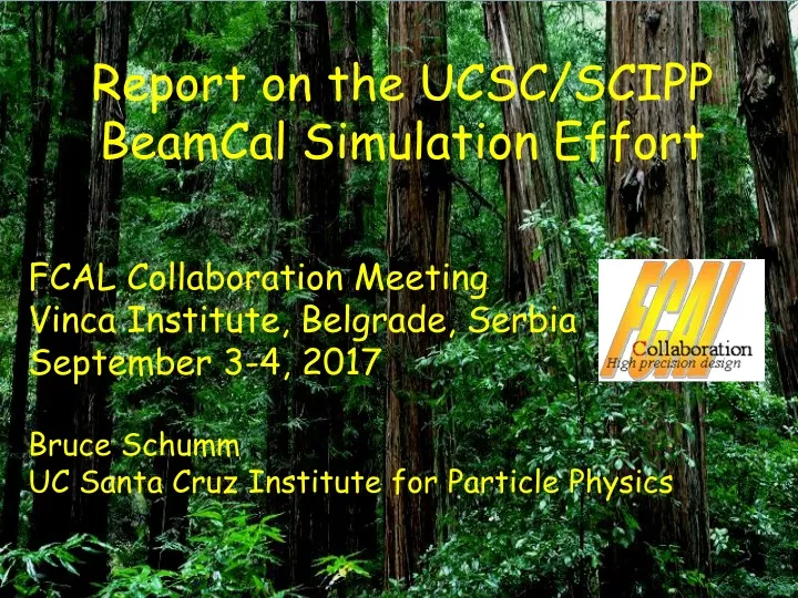 report on the ucsc scipp beamcal simulation