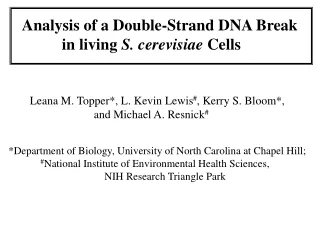 Analysis of a Double-Strand DNA Break  	  in living  S. cerevisiae  Cells