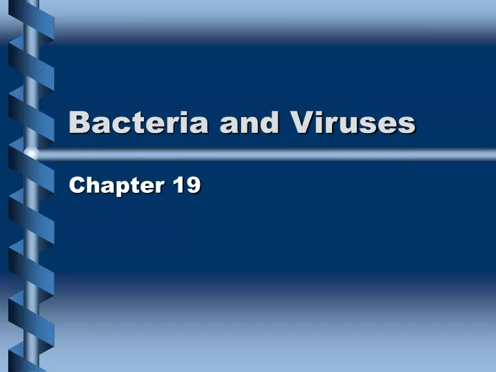 bacteria and viruses