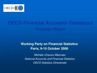 OECD Financial Accounts Databases  Progress Report