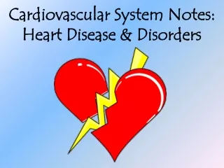 Cardiovascular System Notes: Heart Disease &amp; Disorders