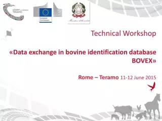 Technical Workshop « Data  exchange  in bovine  identification  database BOVEX »