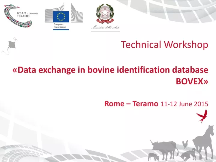 technical workshop data exchange in bovine